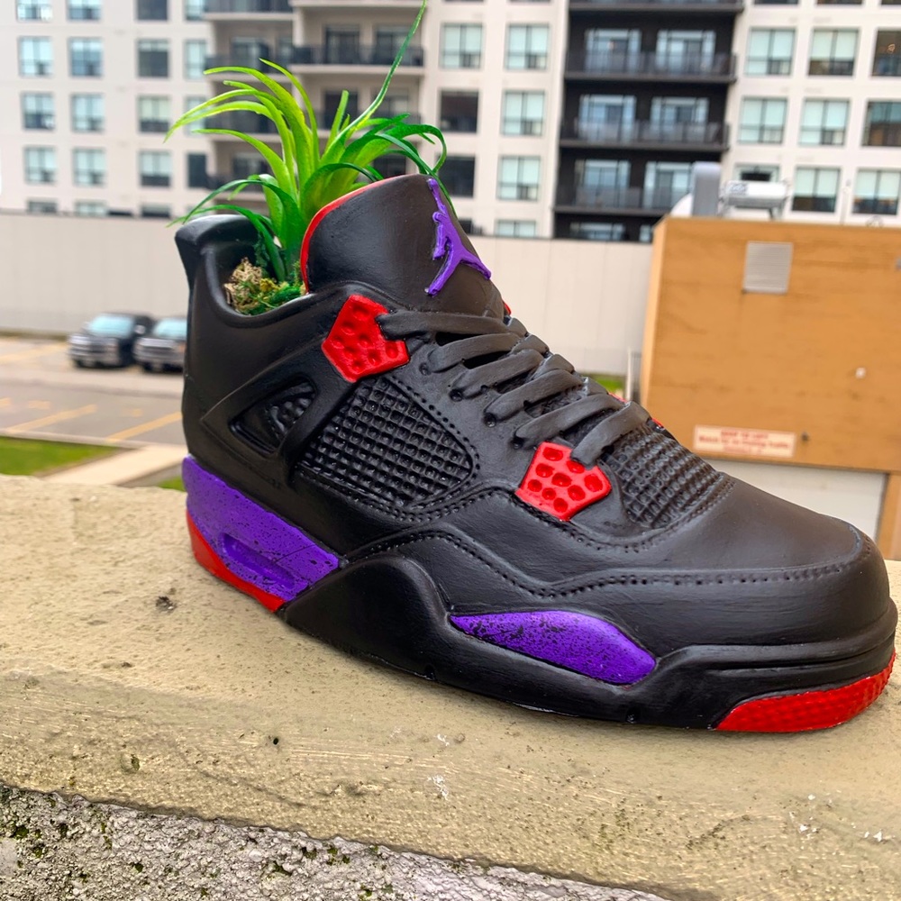 Air Jordan 4 raptors sneaker planter